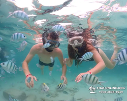 Underwater Odyssey snorkeling excursion in Pattaya Thailand photo 67