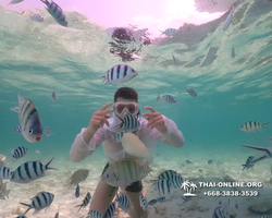 Underwater Odyssey snorkeling tour from Pattaya Thailand photo 18361