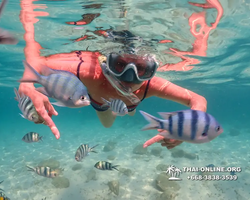 Underwater Odyssey snorkeling tour from Pattaya Thailand photo 14166