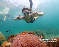 Underwater Odyssey snorkeling tour from Pattaya Thailand photo 18311