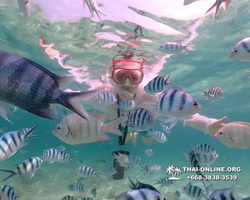 Underwater Odyssey snorkeling tour from Pattaya Thailand photo 18269