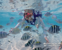 Underwater Odyssey snorkeling excursion in Pattaya Thailand photo 800