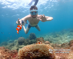 Underwater Odyssey snorkeling excursion Pattaya Thailand photo 11335