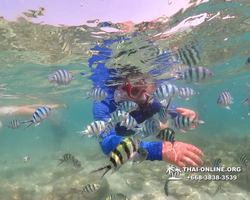 Underwater Odyssey snorkeling excursion Pattaya Thailand photo 14757