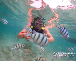 Underwater Odyssey snorkeling excursion in Pattaya Thailand photo 132