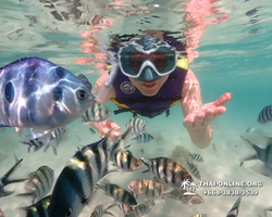 Underwater Odyssey snorkeling excursion Pattaya Thailand photo 19198