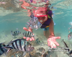 Underwater Odyssey snorkeling excursion Pattaya Thailand photo 19042