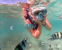 Underwater Odyssey snorkeling excursion Pattaya Thailand photo 19296