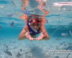 Underwater Odyssey snorkeling excursion in Pattaya Thailand photo 902