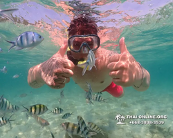 Underwater Odyssey snorkeling excursion Pattaya Thailand photo 14898