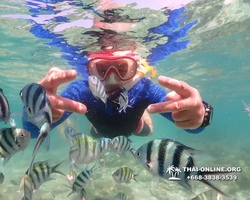 Underwater Odyssey snorkeling excursion Pattaya Thailand photo 14737