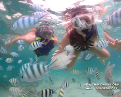 Underwater Odyssey snorkeling excursion in Pattaya Thailand photo 26