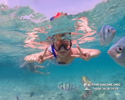 Underwater Odyssey snorkeling excursion Pattaya Thailand photo 11009