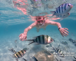 Underwater Odyssey snorkeling excursion in Pattaya Thailand photo 508