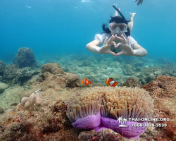 Underwater Odyssey snorkeling excursion Pattaya Thailand photo 11401