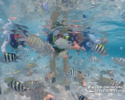 Underwater Odyssey snorkeling excursion in Pattaya Thailand photo 766