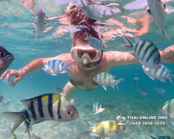 Underwater Odyssey snorkeling excursion Pattaya Thailand photo 11194