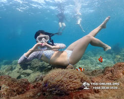 Underwater Odyssey snorkeling excursion Pattaya Thailand photo 11364