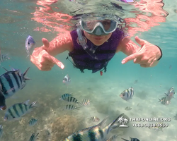 Underwater Odyssey snorkeling excursion Pattaya Thailand photo 19289