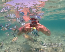 Underwater Odyssey snorkeling excursion Pattaya Thailand photo 14839