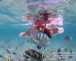 Underwater Odyssey snorkeling excursion in Pattaya Thailand photo 480