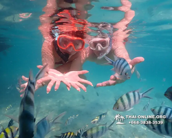 Underwater Odyssey snorkeling tour from Pattaya Thailand photo 14487