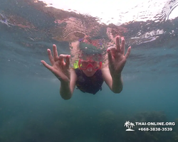 Underwater Odyssey snorkeling excursion in Pattaya Thailand photo 245