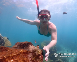 Underwater Odyssey snorkeling excursion in Pattaya Thailand photo 569