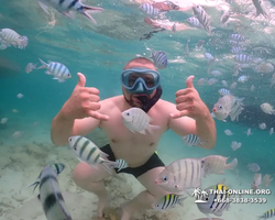 Underwater Odyssey snorkeling excursion in Pattaya Thailand photo 73