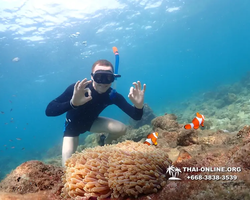 Underwater Odyssey snorkeling excursion Pattaya Thailand photo 11383