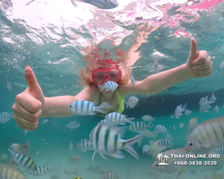 Underwater Odyssey snorkeling excursion in Pattaya Thailand photo 9