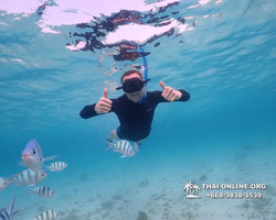 Underwater Odyssey snorkeling excursion Pattaya Thailand photo 11144