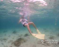 Underwater Odyssey snorkeling excursion in Pattaya Thailand photo 267