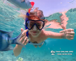 Underwater Odyssey snorkeling excursion Pattaya Thailand photo 11015