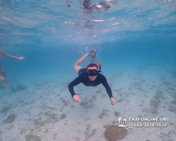 Underwater Odyssey snorkeling excursion Pattaya Thailand photo 11153