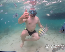 Underwater Odyssey snorkeling excursion in Pattaya Thailand photo 281