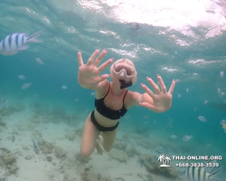 Underwater Odyssey snorkeling excursion in Pattaya Thailand photo 237