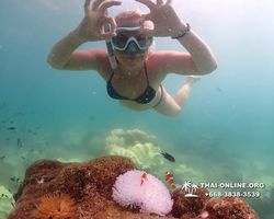 Underwater Odyssey snorkeling excursion Pattaya Thailand photo 19524