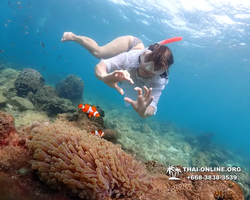 Underwater Odyssey snorkeling excursion Pattaya Thailand photo 11393