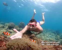 Underwater Odyssey snorkeling excursion Pattaya Thailand photo 11422