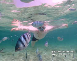 Underwater Odyssey snorkeling tour from Pattaya Thailand photo 18398