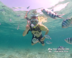 Underwater Odyssey snorkeling tour from Pattaya Thailand photo 18780