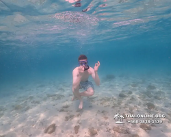 Underwater Odyssey snorkeling excursion Pattaya Thailand photo 11120