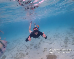 Underwater Odyssey snorkeling excursion Pattaya Thailand photo 11150