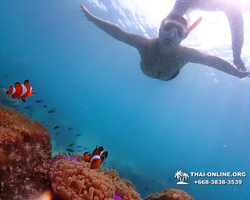 Underwater Odyssey snorkeling excursion in Pattaya Thailand photo 1041