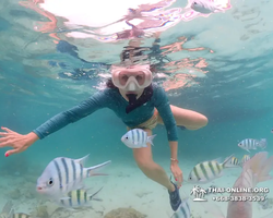 Underwater Odyssey snorkeling excursion in Pattaya Thailand photo 150