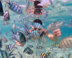 Underwater Odyssey snorkeling excursion Pattaya Thailand photo 11262