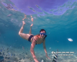 Underwater Odyssey snorkeling tour from Pattaya Thailand photo 10839