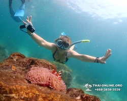 Underwater Odyssey snorkeling excursion Pattaya Thailand photo 14886