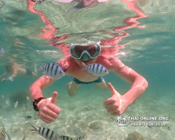 Underwater Odyssey snorkeling tour from Pattaya Thailand photo 18317